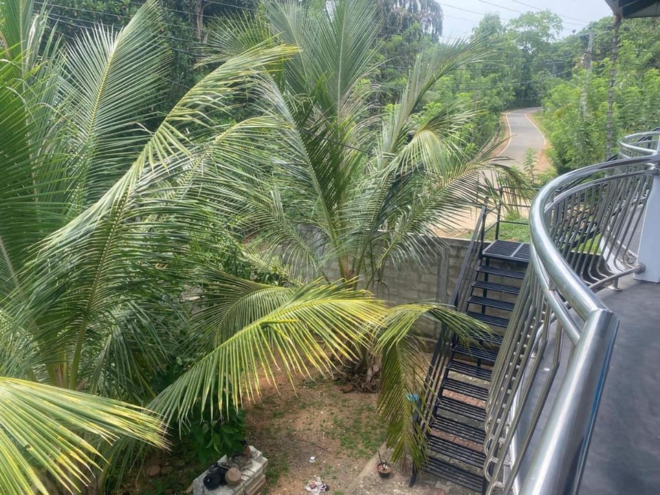 Day, Natural landscape, Garden, Garden view