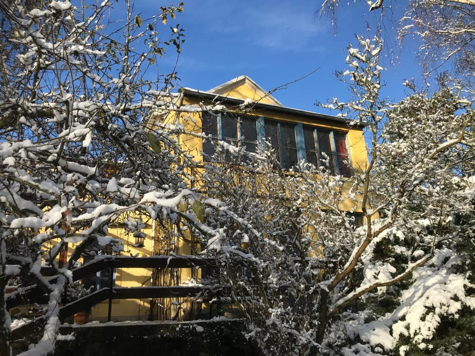 Property building, Winter