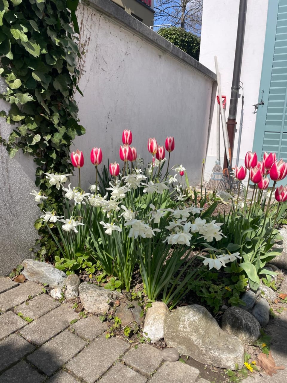 Spring, Day, Garden, Garden view