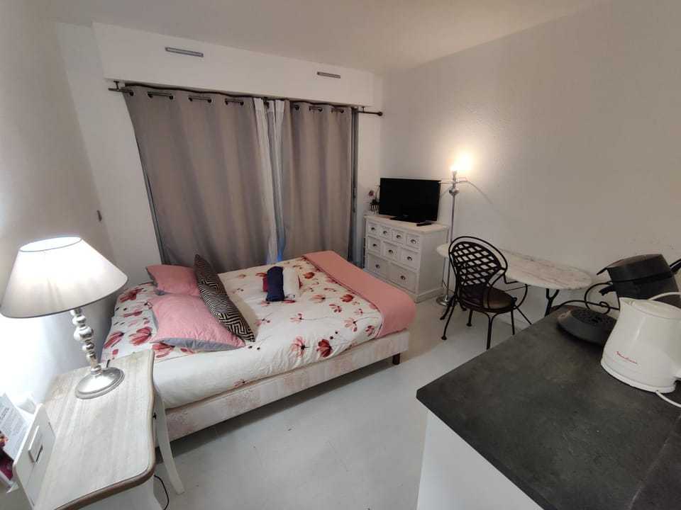 Studio idéal cure ou séjour escapade Apartment in Balaruc-les-Bains