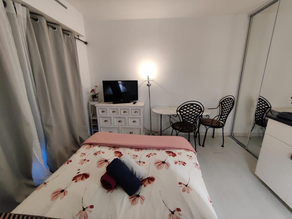 Studio idéal cure ou séjour escapade Apartment in Balaruc-les-Bains