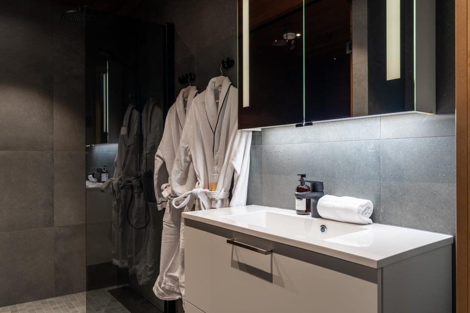 Shower, Toilet, Sauna, Bathroom, bidet, hair dryier, heating, internet, towels