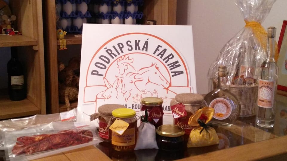 Podřipská Farma Farm Stay in Czechia