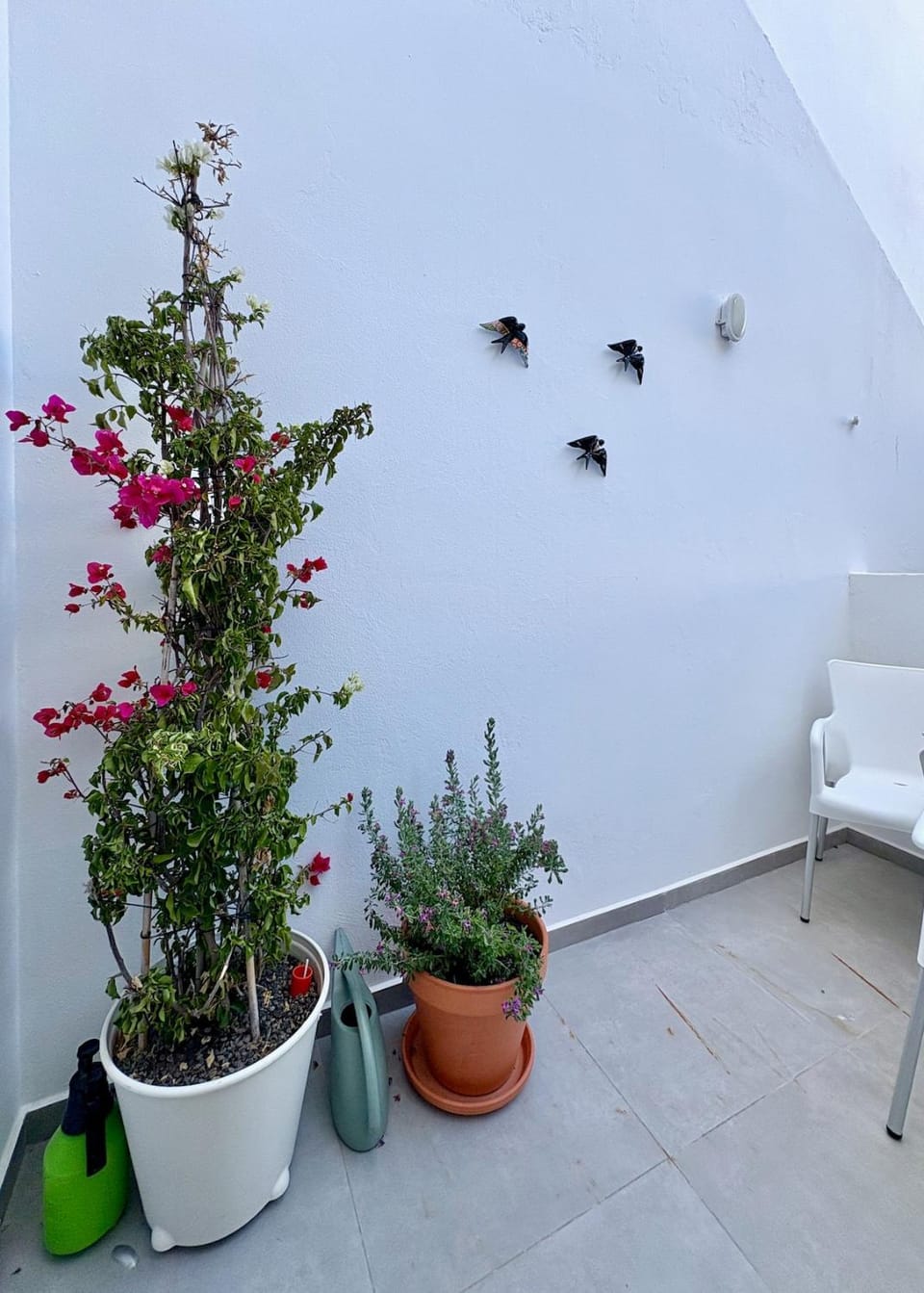 Casa Maria Laura - Cute apartment in city center Apartment in Lagos