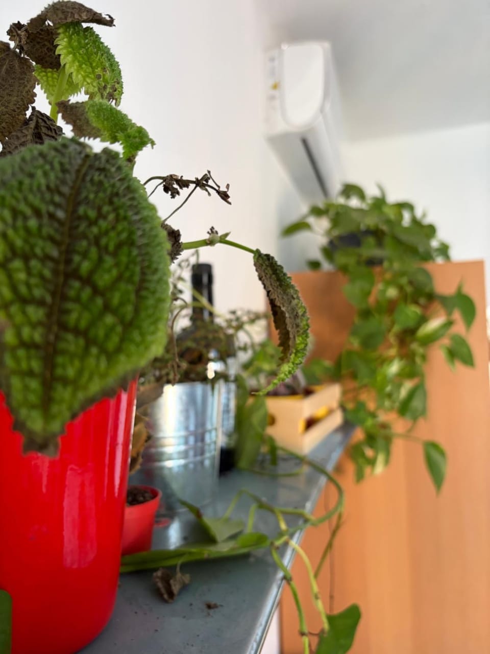 Decorative detail, Floor plan