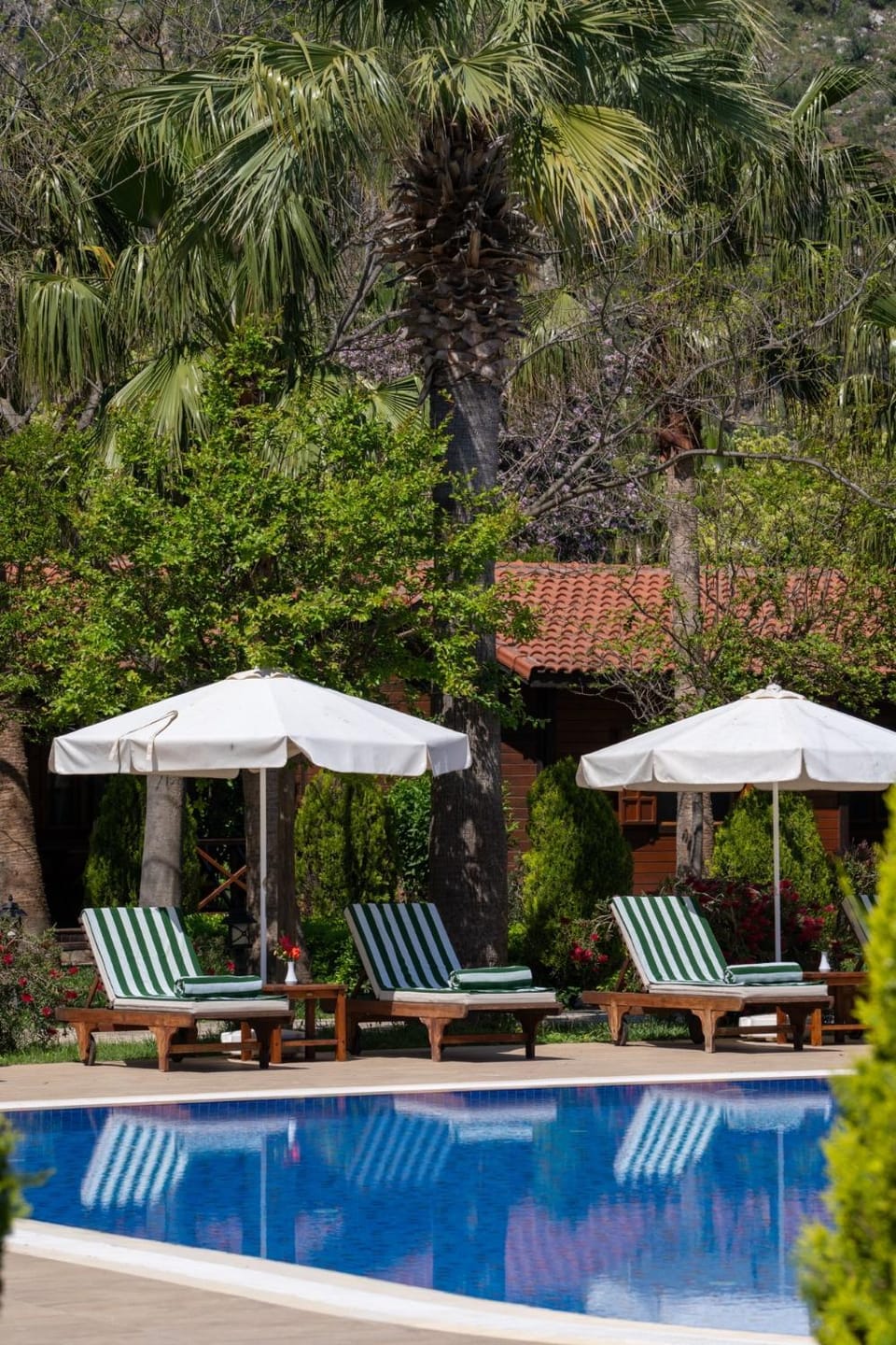 Odile Hotel by Naturelife Hotel in Antalya Province