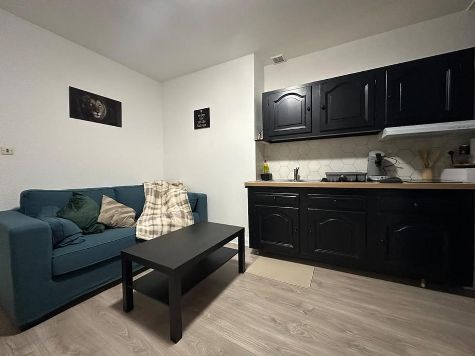 Le Cocon Cathédrale Apartment in Metz