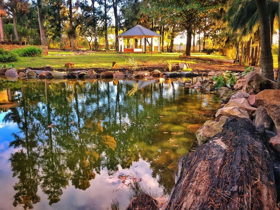 Day, Natural landscape, Garden, Hot Tub, Lake view, Swimming pool