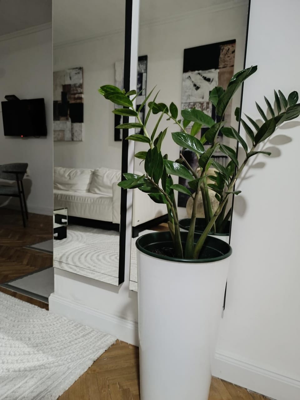 Communal lounge/ TV room, TV and multimedia