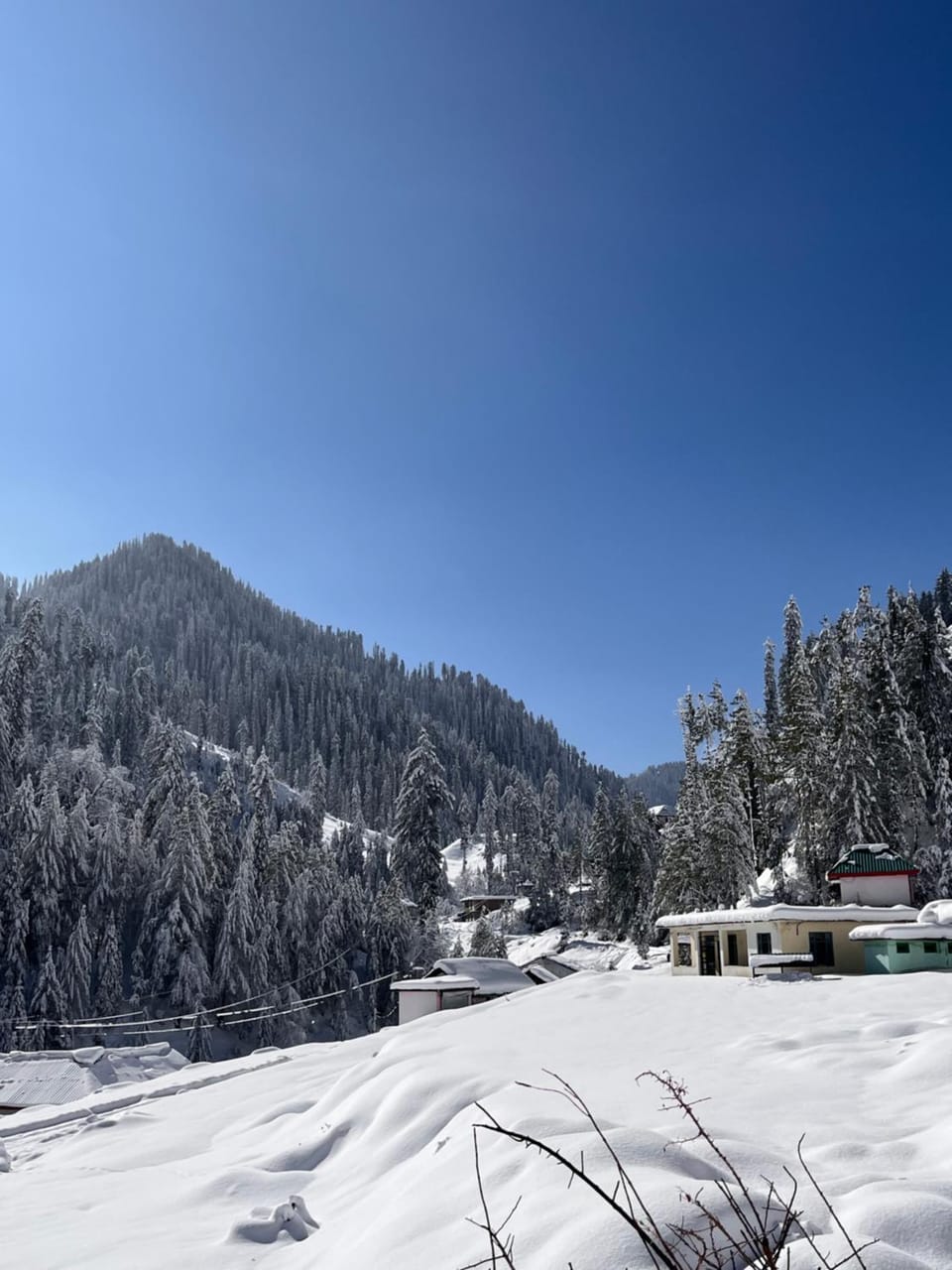 Orchard stay Vacation rental in Himachal Pradesh