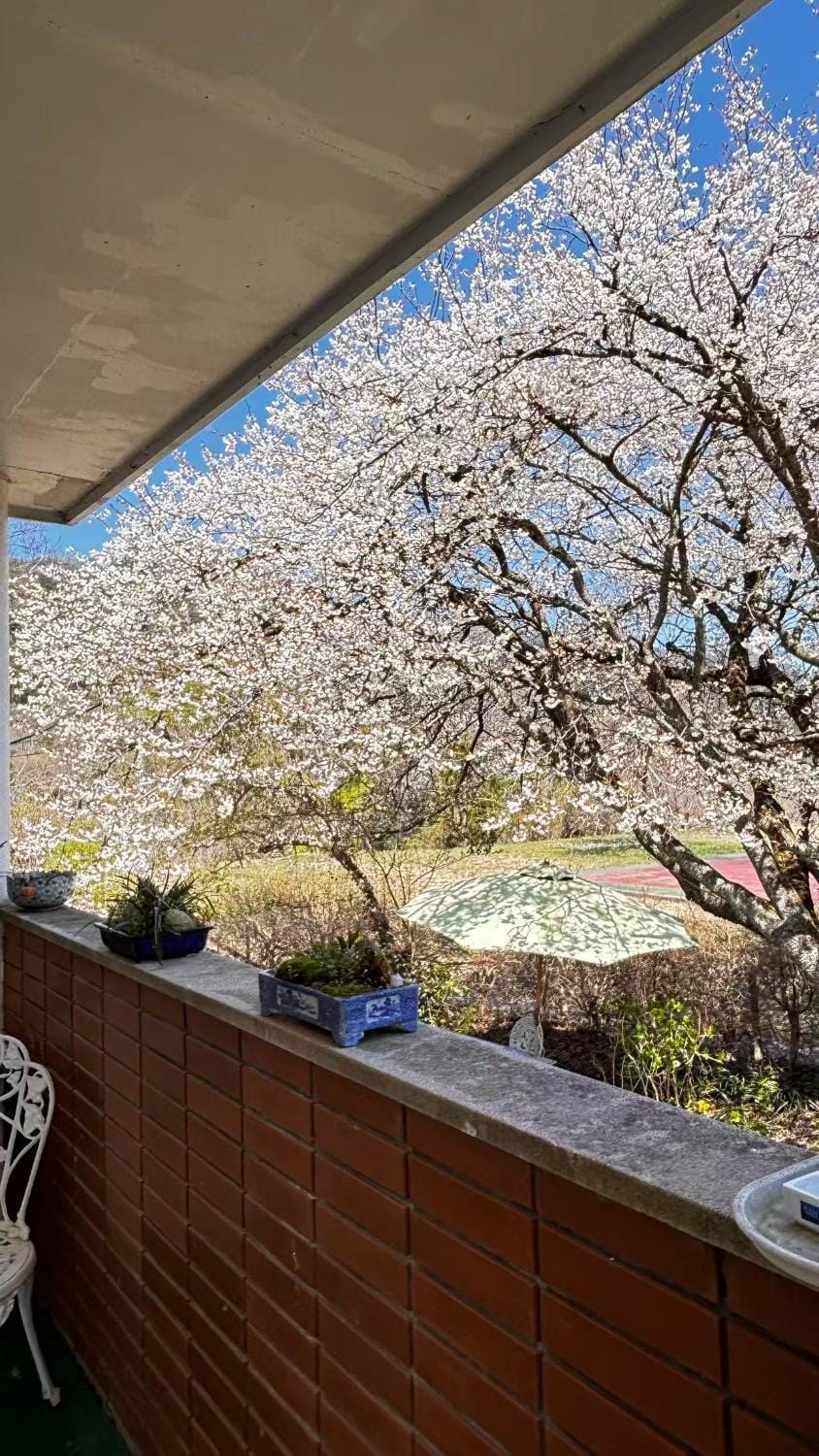 ペンションあけまの森 Hotel in Japan