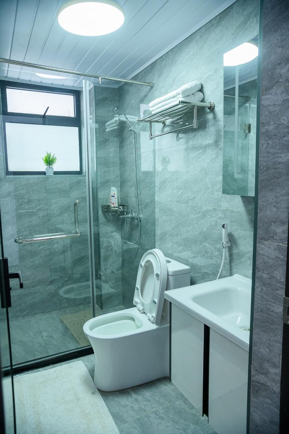 Shower, Toilet, Bathroom