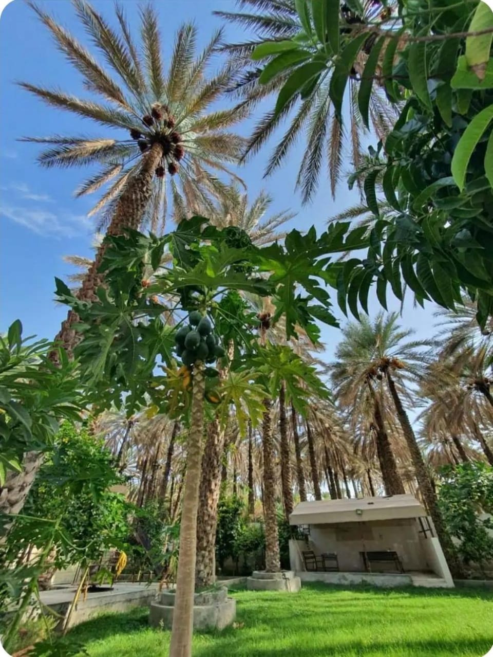 Al Raudha Serene Farm Stay in Oman