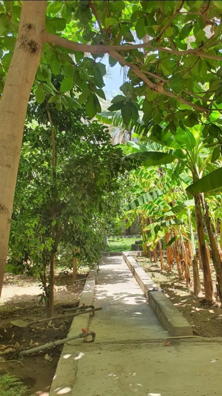 Al Raudha Serene Farm Stay in Oman
