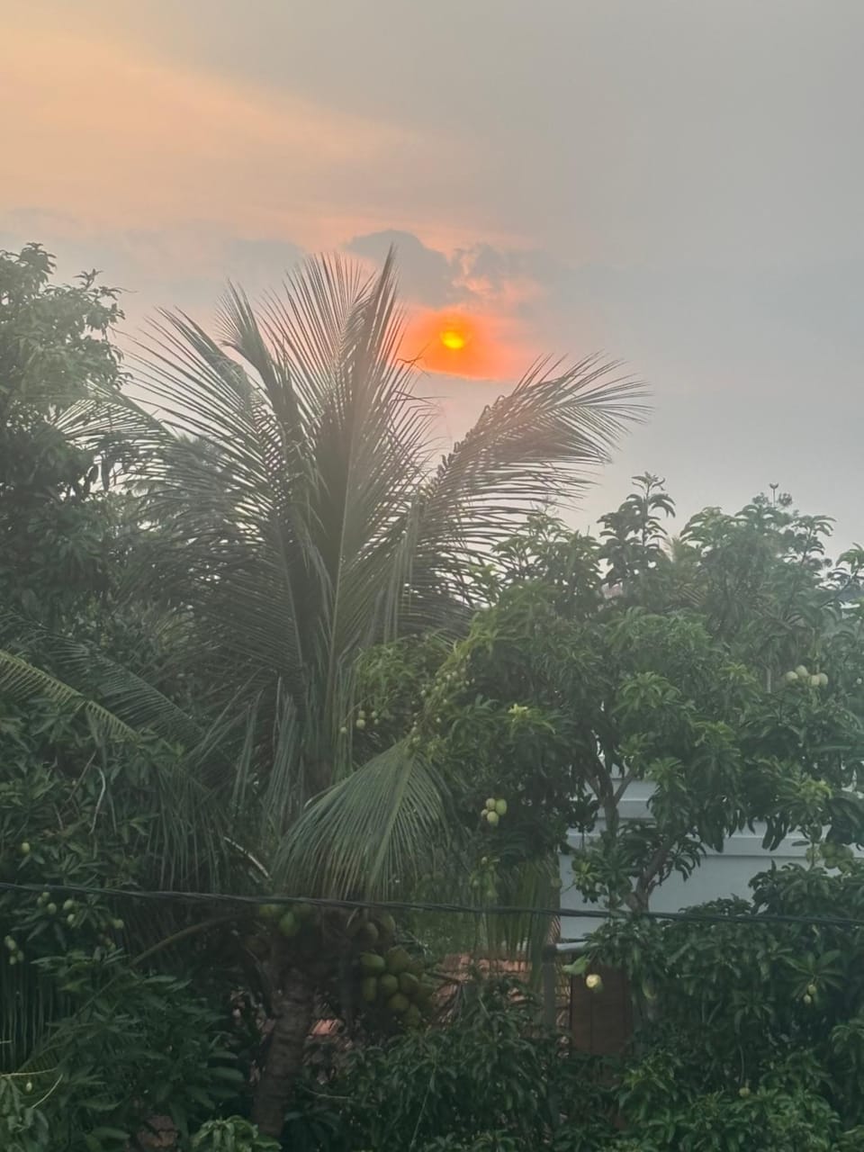 Hello Weligama Bed and Breakfast in Southern Province