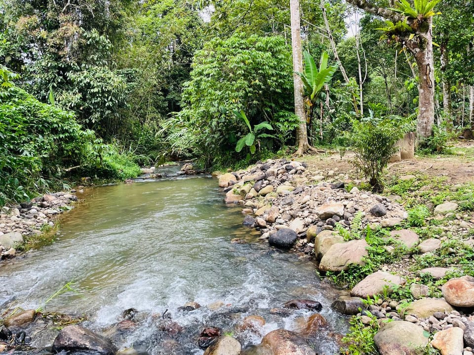 Anatolia Retreat Luxury tent in Selangor, Malaysia