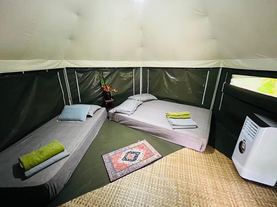 Bed, Photo of the whole room, towels
