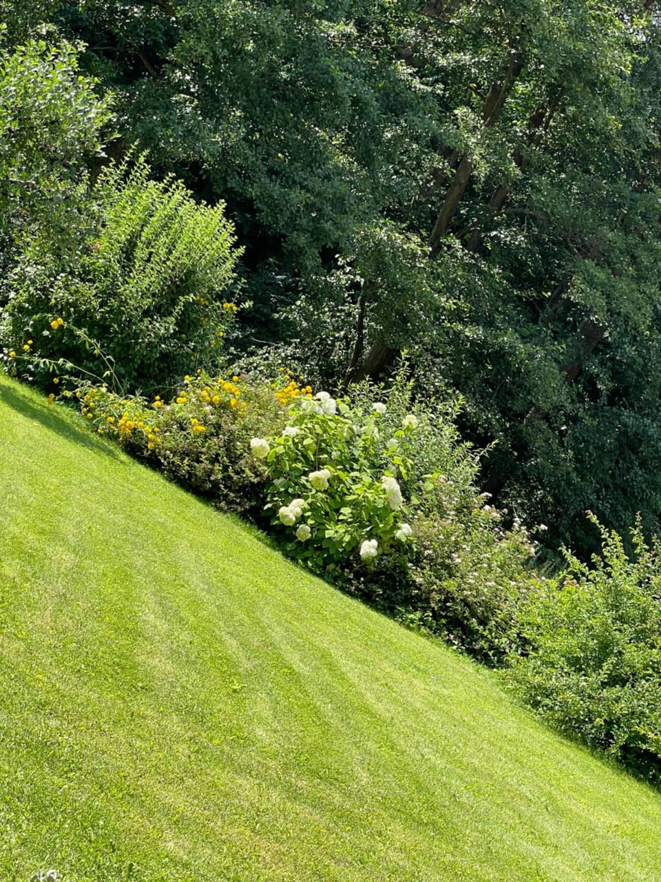Off site, Garden