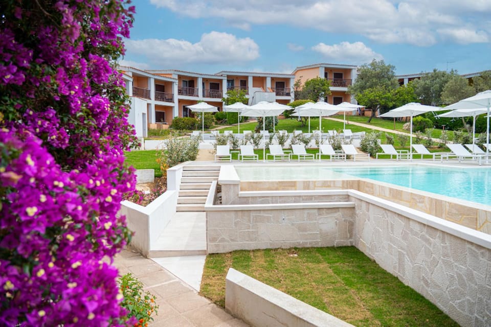 Garden, Swimming pool, sunbed