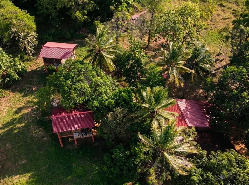 Vercour Tree House Cabana Sigiriya Vacation rental in Dambulla