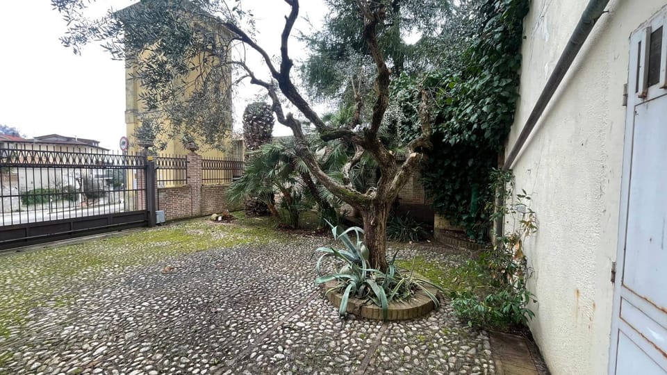 Inner courtyard view