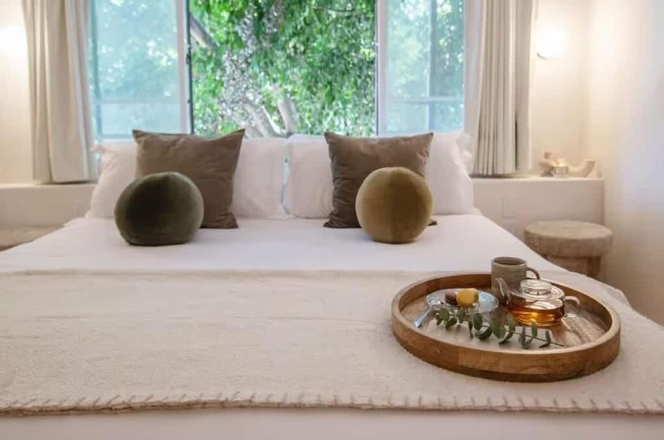 Sol 1 CC CM A Piece of Paradise in the best location Condesa House in Mexico City