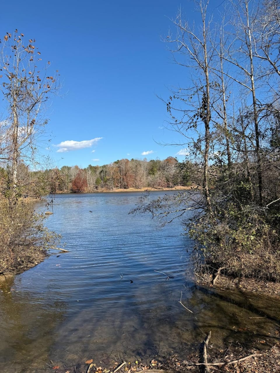 Natural landscape, Lake view