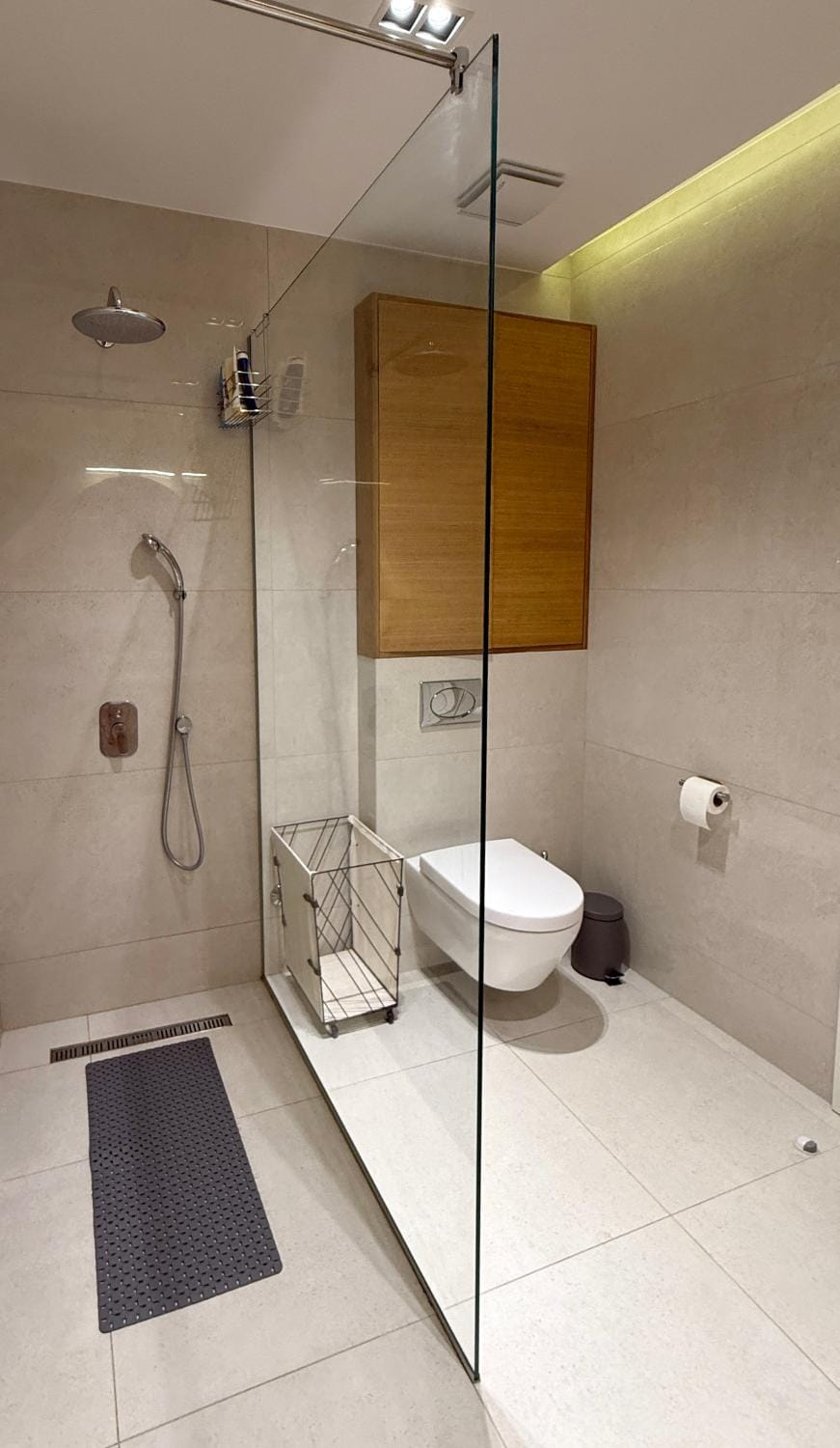 Shower, Toilet
