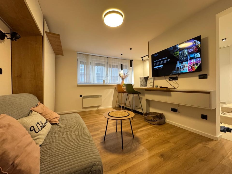 Bed, TV and multimedia, Living room, Photo of the whole room, Seating area, Evening entertainment, Bedroom