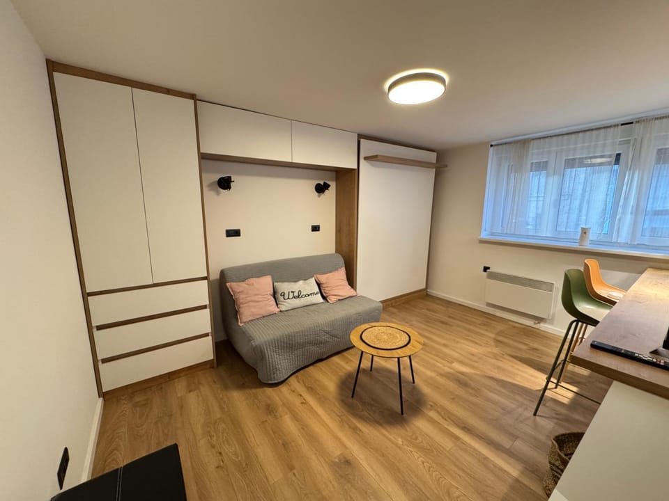 Bed, Living room, Photo of the whole room, Seating area, wardrobe