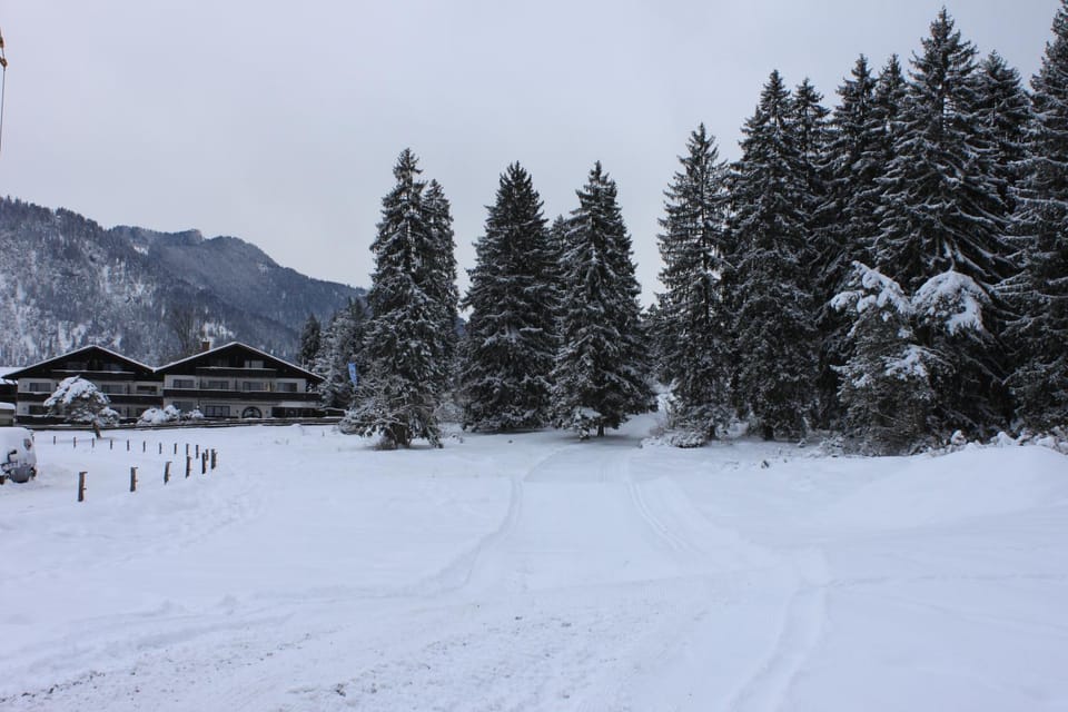 Property building, Winter