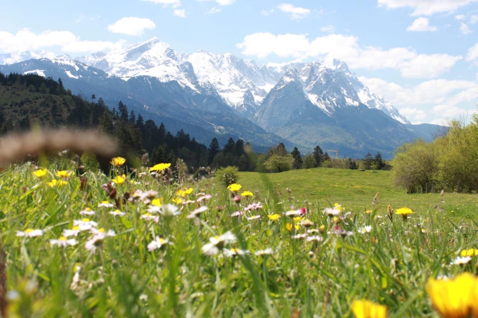 Natural landscape, Mountain view