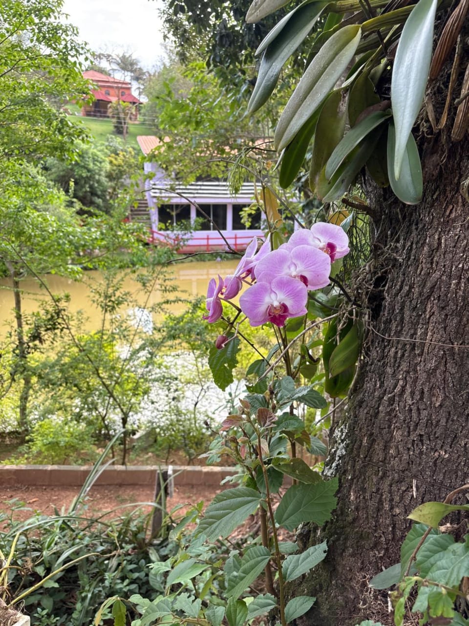 Marcos Araújo Campground/ 
RV Resort in State of São Paulo