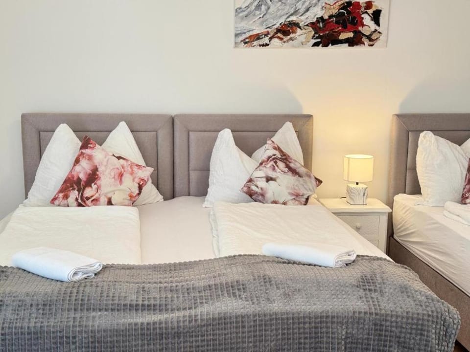 Friends & Family Nest Apartment in Salzburg