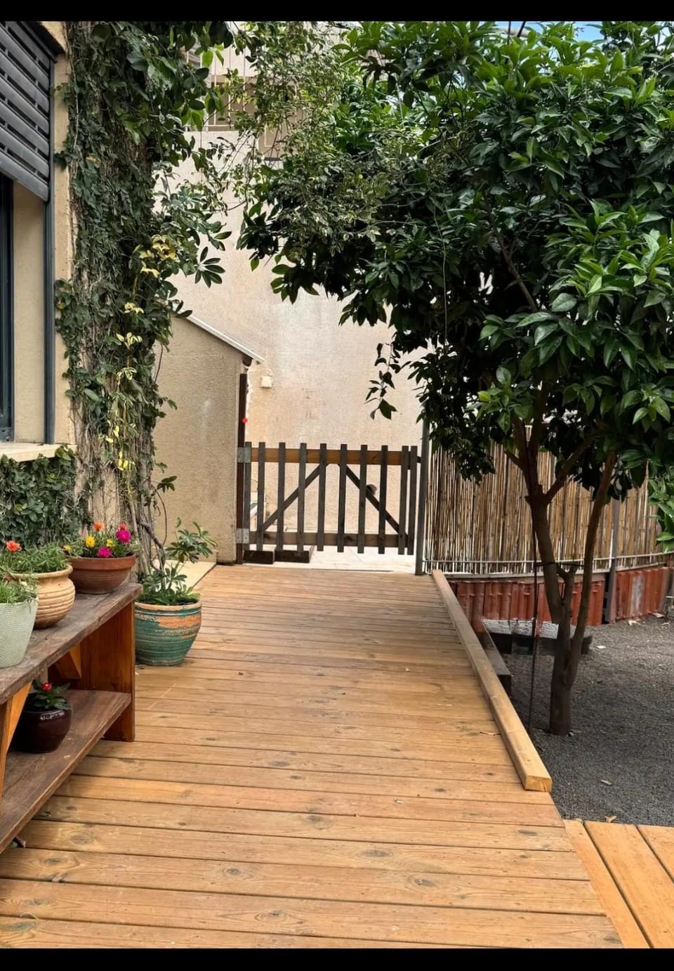 מתחת לעץ התות בכפר Apartment in North District
