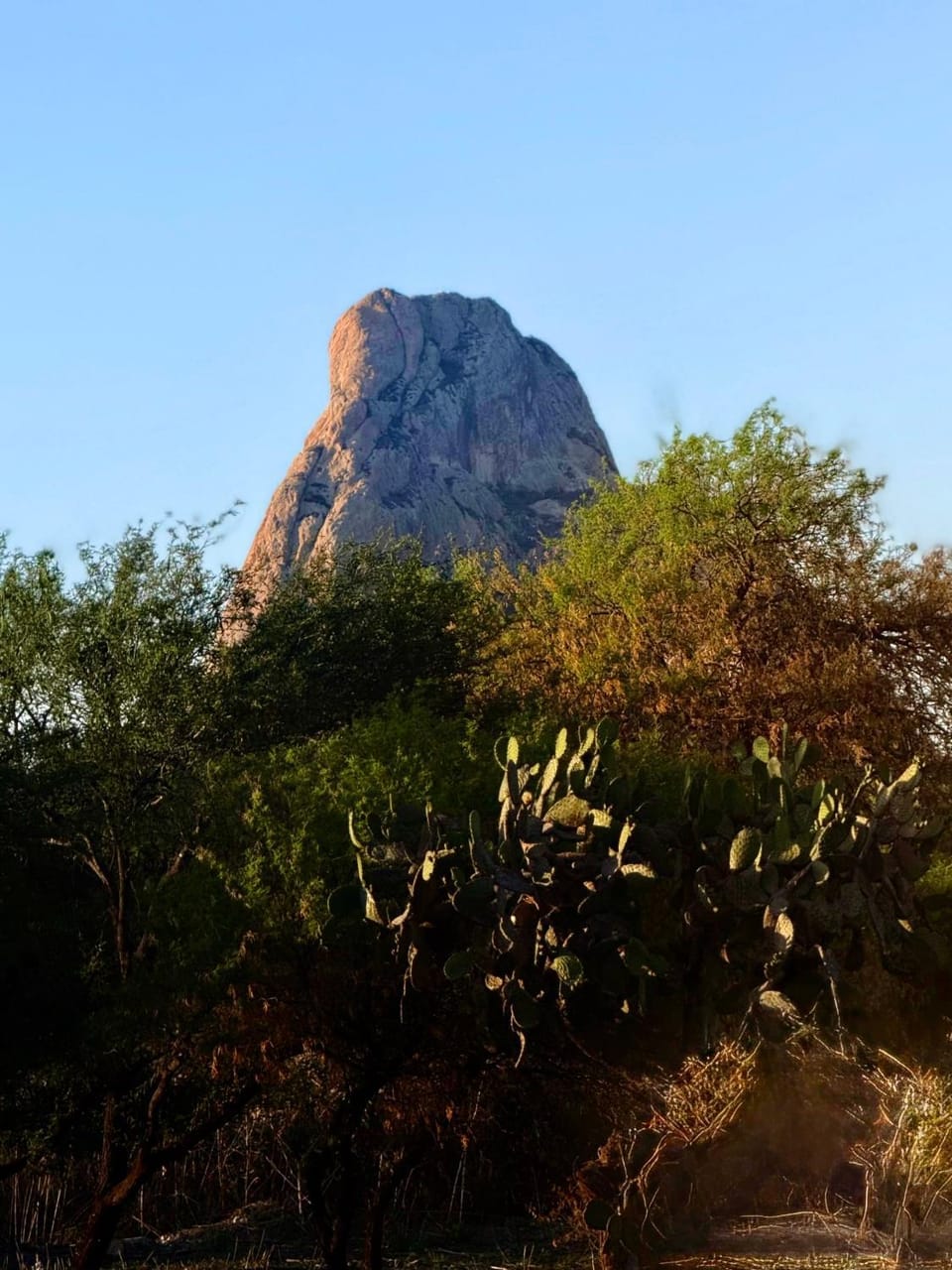 Mountain view