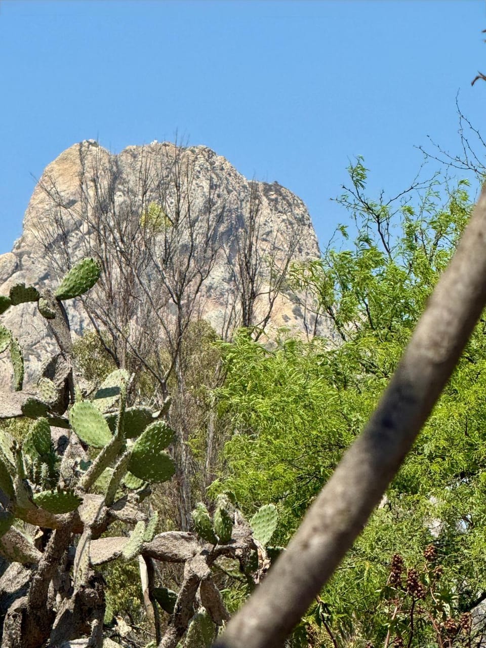 Natural landscape