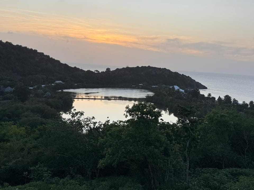 Sea view