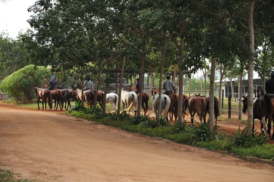 Horse-riding