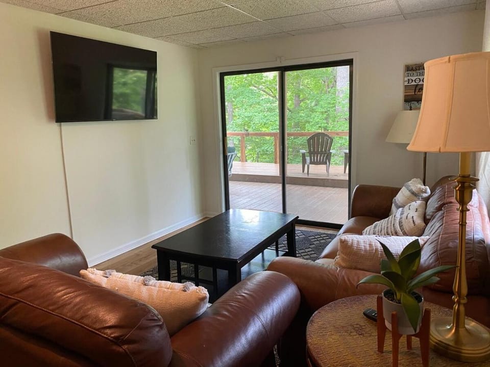 Lake Lanier Hideaway Waterfront with Game Room and Dock House in Lake Lanier