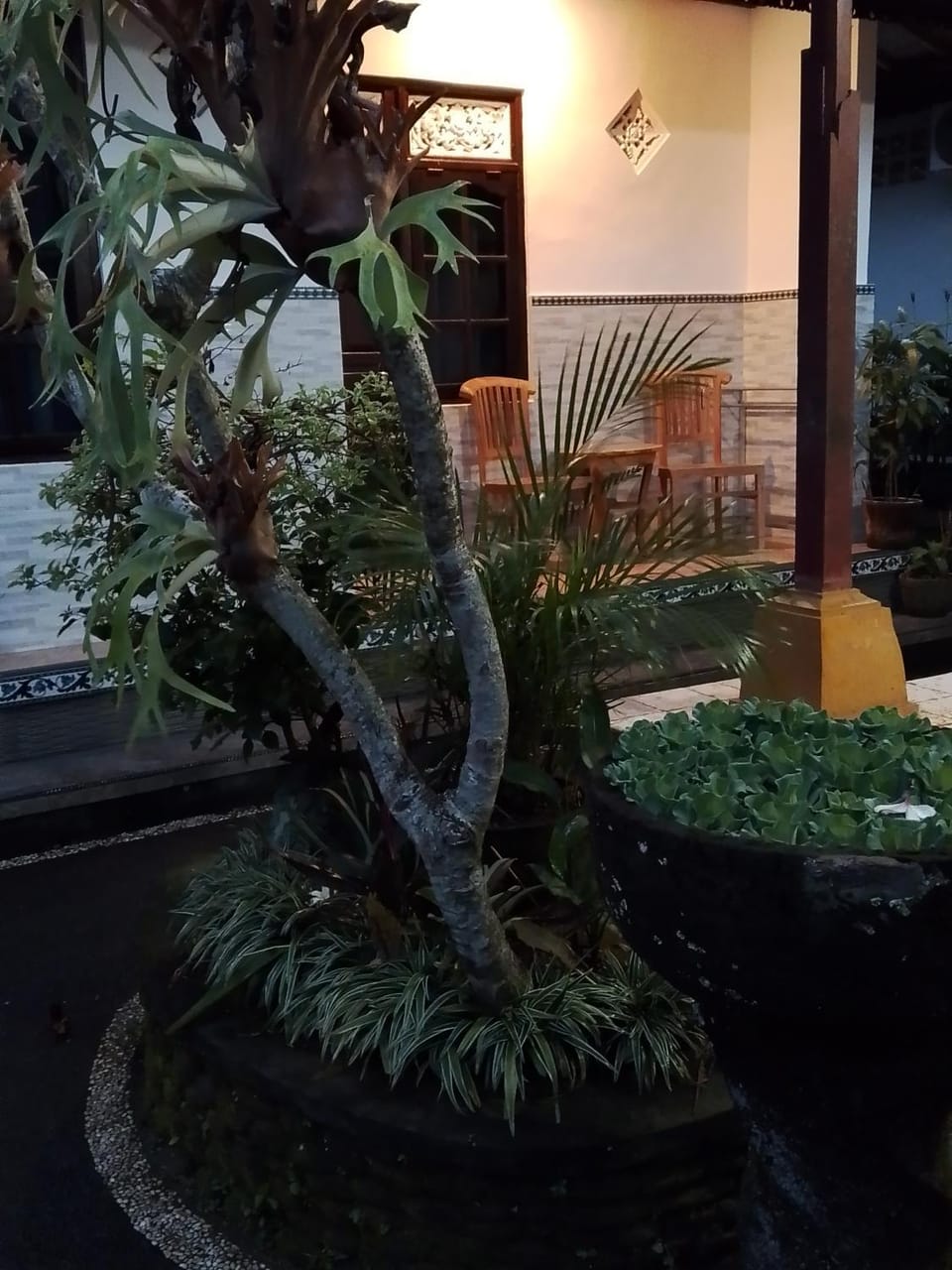 Natah shanti Homestay Bed and Breakfast in Ubud