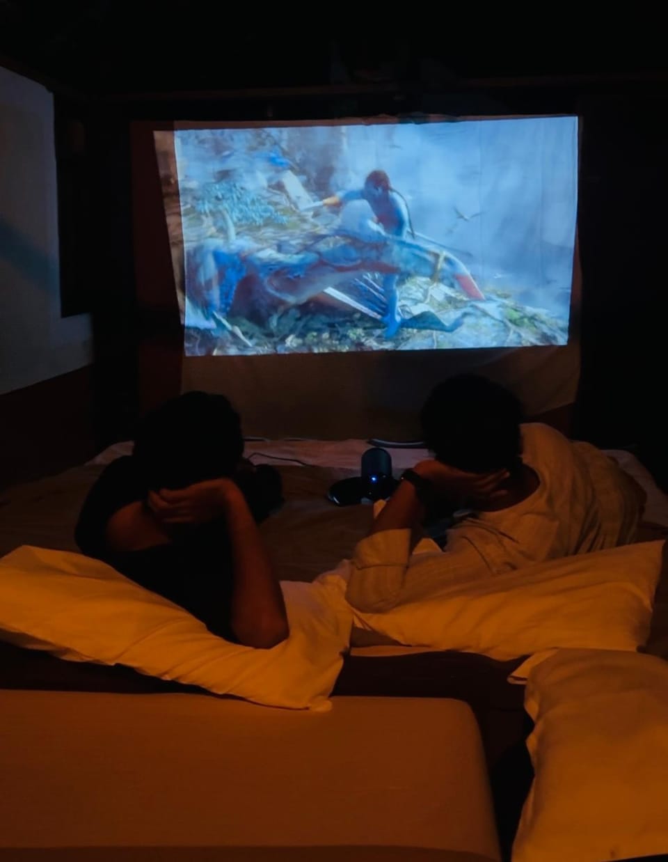 TV and multimedia
