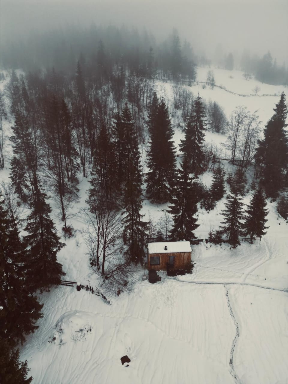 Natural landscape, Winter