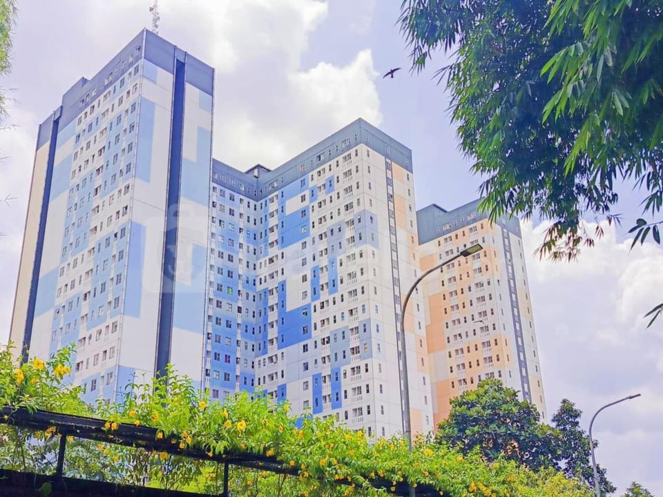 Property building, Day