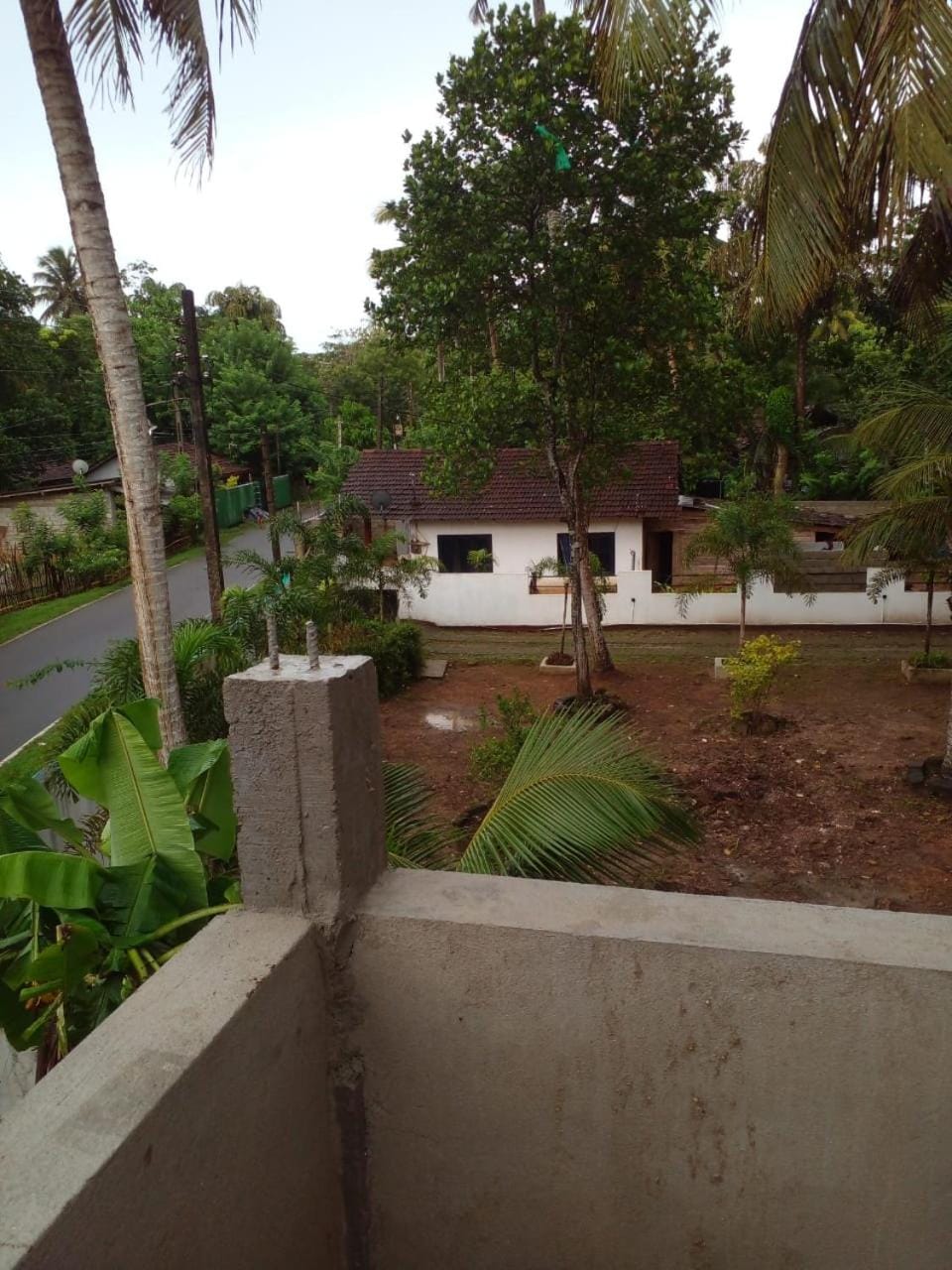 View (from property/room)