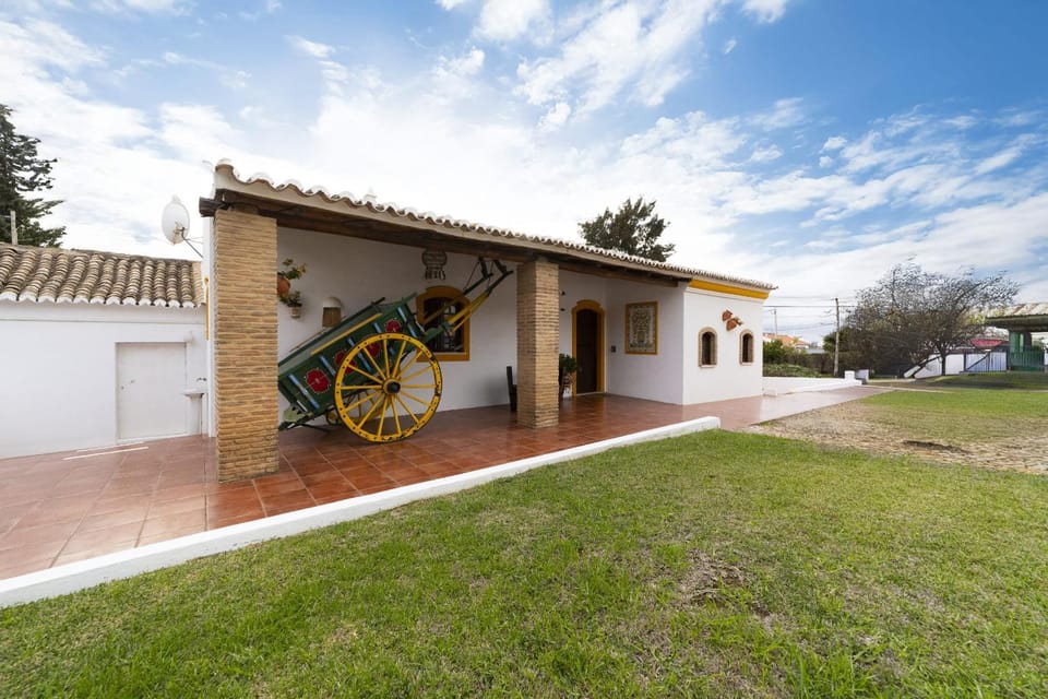 Patio, Garden, Garden view