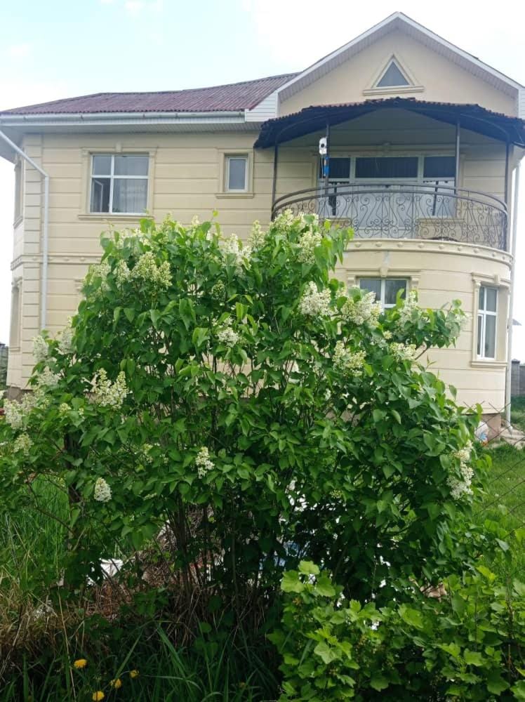 Гостевой дом Маман Bed and Breakfast in Almaty Region, Kazakhstan