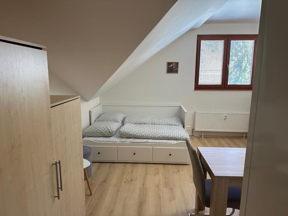 Soukromý apartmán na Klatovské Apartment in Czechia