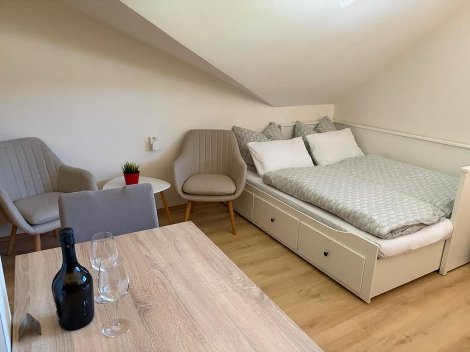 Soukromý apartmán na Klatovské Apartment in Czechia