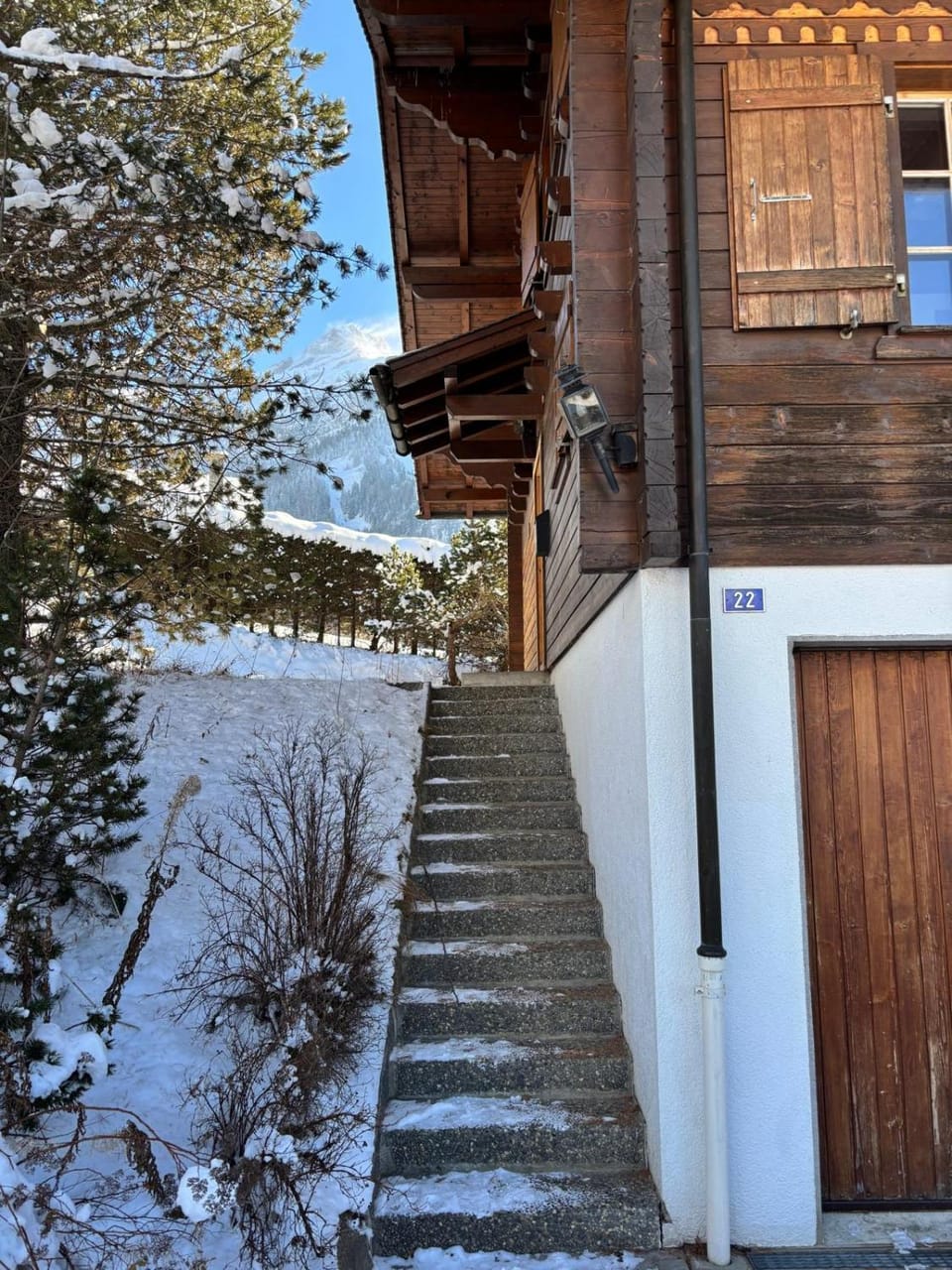 Chalet familial Rose de Noël Chalet in Canton of Vaud